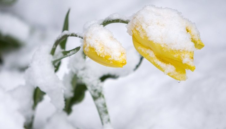 Astrologinė prognozė balandžio 21-ajai, penktadieniui