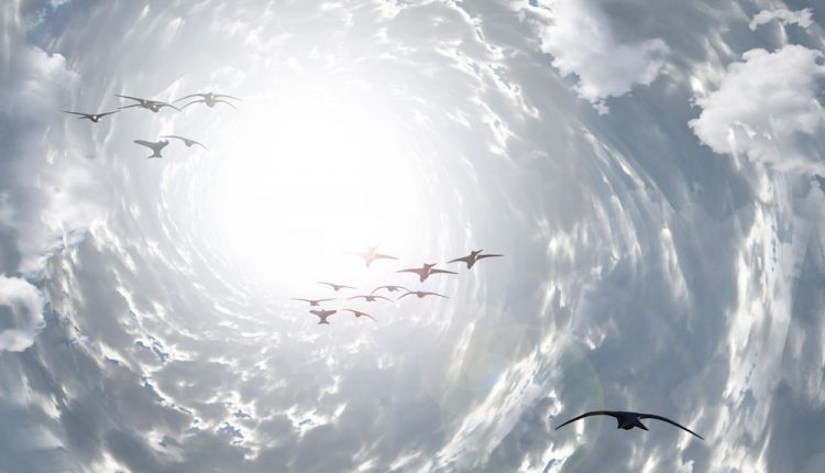 Šimtai negyvų paukščių krito iš dangaus: vietiniai gyventojai tiki, kad tai NSO kaltė